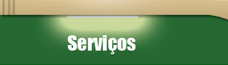 Servi&ccedil;os